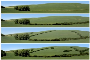 Agricultural lands with added buffers (L.
                Klein)
