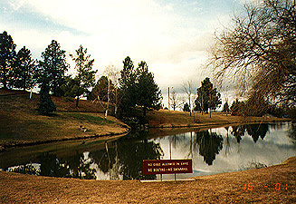 pond2