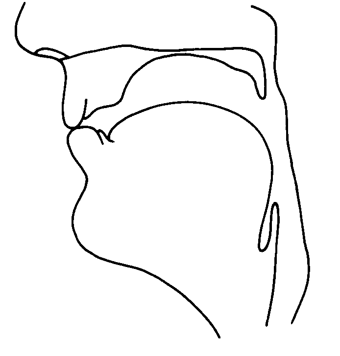 bilabial nasal stop