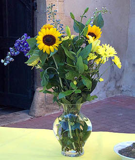 Sunflowers used as cut flowers (V.I. Lohr)